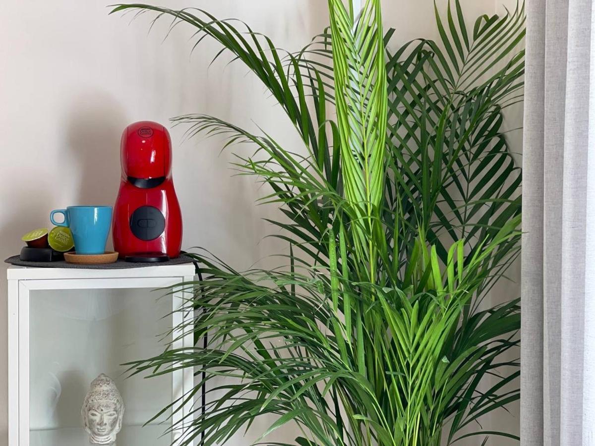 Cozy Studio Centr 托雷莫利诺斯 外观 照片